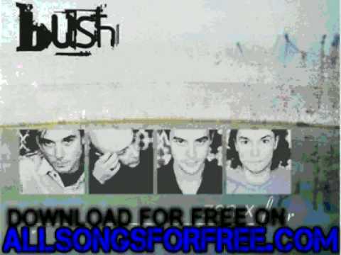 bush - Little Things (Live) - Zen X Four