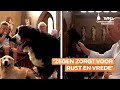 Kerkdienst voor huisdieren: ‘Dieren zullen sterker zijn door Gods zegen’