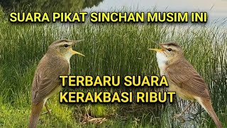 Download lagu Suara Pikat KERAK BASI ALIS HITAM Suara pikat Sinchan. mp3