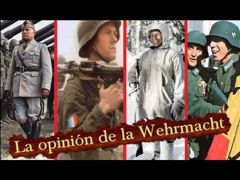 ¿Qué Opinaban los Soldados Alemanes de sus ALIADOS? Españoles, Italianos, Rumanos...