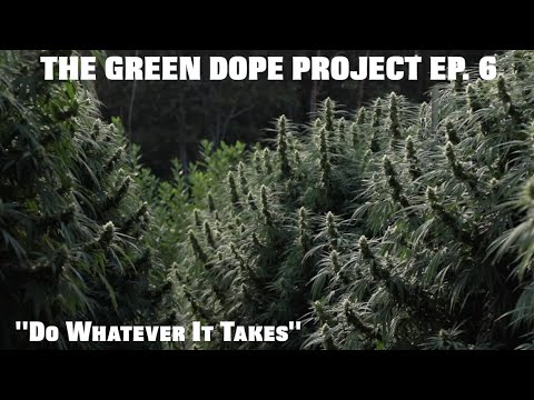 THE GREEN DOPE PROJECT EP. 6 "DO WHATEVER IT TAKES"