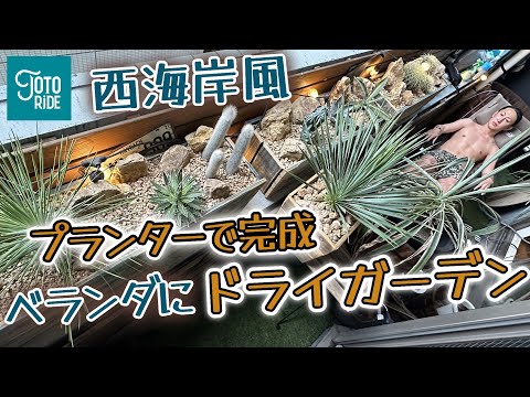 テラスやバルコニー用の鉢植えのマグノリアシート – 容器、品種、手入れは何ですか?  庭園