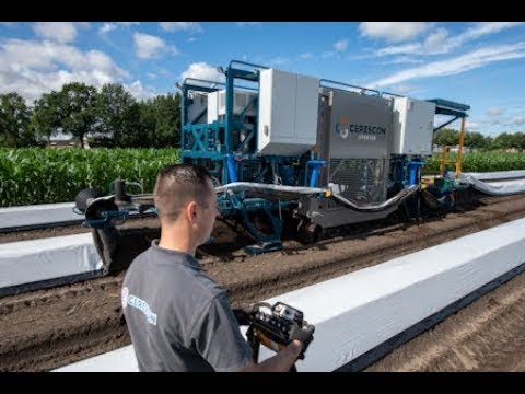 Cerescon Sparter season 2021