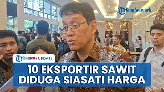 Purbaya Ungkap 10 Perusahaan Sawit Diduga Manipulasi Harga Ekspor Minyak Sawit Lewat Singapura