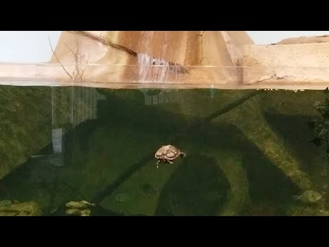 8,000 G Fish Tank Pro Setup With Waterfall