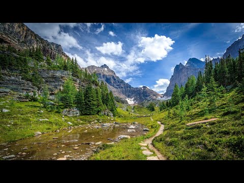 Angel Ace — Perfect June (Original Mix)