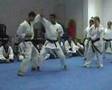 Karate Shotokan Demo 