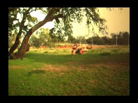 Amine Haddar - Training mars 2010