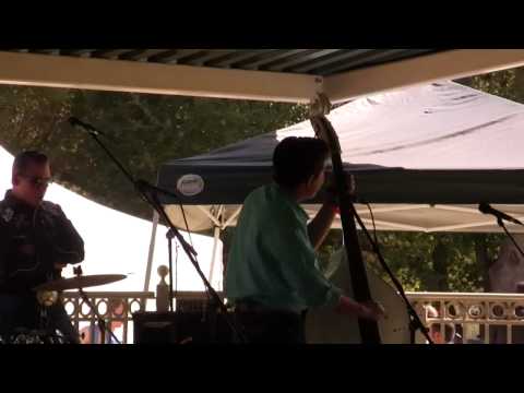 The Rumbers at Ramona Music Fest 2010, Mean Mean Man