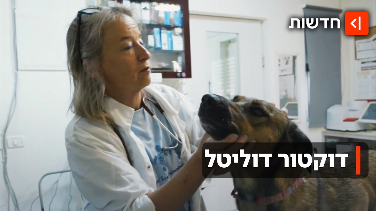 מלכת החיות - הוטרינרית שהצילה מאות חיות ב-7 באוקטובר תזכה להוקרה בינ״ל