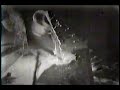 Lone Pigeon – Concubine Rice Reprise | Edgerton and His Incredible Seeing Machines (1985)
