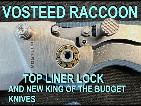 🔥Vosteed Raccoon 🦝 Top Liner lock review and disassembly