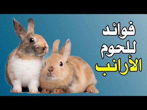 فوائد لا تتوقعها للحوم الأرانب