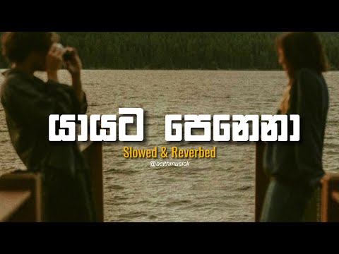 Puthune Nidana (පුතුනේ නිදනා) - ( Slowed + Reverb )