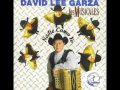 David Lee Garza y Los Musicales   Para Ti