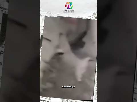 🚨🇪🇨#Tungurahua  Así fue detenida una mujer que estuvo involucrada en el r0bo de una #fabricadevinos