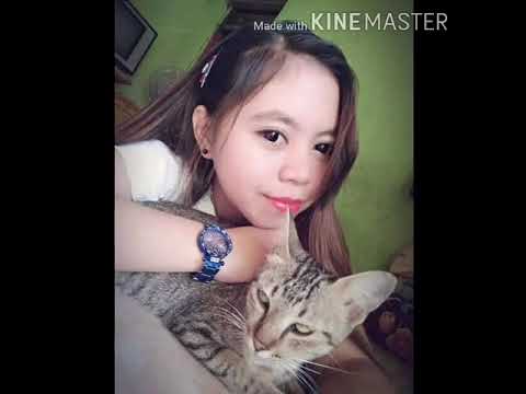 d'p@s'4 - selamat tinggal kenangan 2014