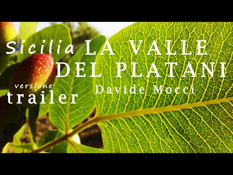TRAILER - LA VALLE DEL PLATANI di Davide Mocci DOC RAI GEO - ITALIA SICILIA tradizioni