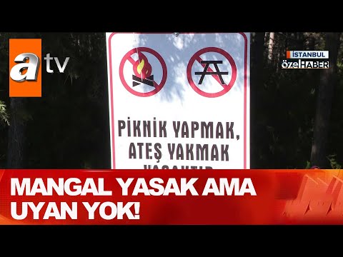 Mangal yasak ama uyan yok! - Atv Haber 22 Ağustos 2020