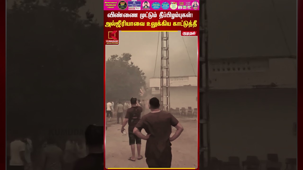 விண்ணை முட்டும் தீப்பிழம்புகள்! அல்ஜீரியாவை உலுக்கிய காட்டுத்தீ | Algeria | Fire | Kumudam News