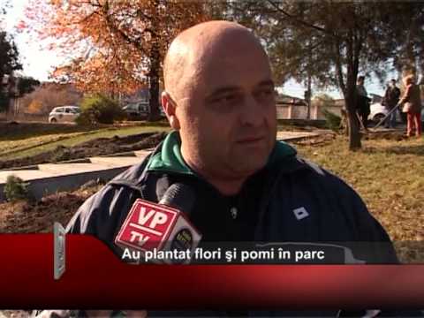 Au plantat flori şi pomi în parc