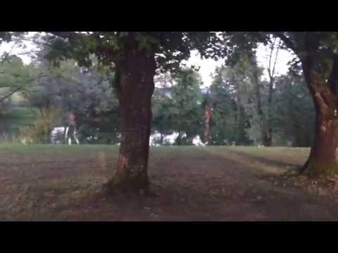 BIG BERRY glamping site in Slovenia - Brown Berry Grand Tour!