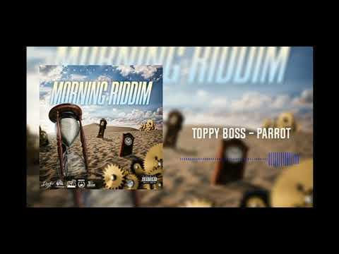 Toppy Boss - Parrot