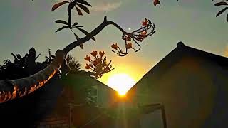 Download lagu Story WA Pagi Hari || Cinematic 30 Detik || Aesthetic Alam || Sinematik Estetik Keren mp3