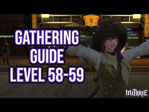 FFXIV 3.0 0686 Gathering Guide Level 58 to 59