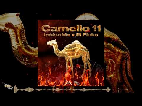 hijos del golfo Ft el flaco camello 11🐫🪖