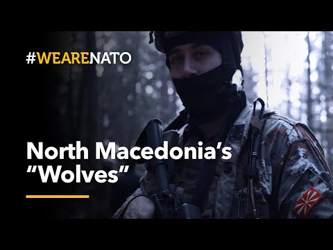 🇲🇰 North Macedonia's Special Operations Battalion "The Wolves" | #WeAreNATO