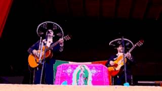 LOS HIGONES - el antifaz