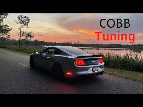 Ecoboost Mustang gets Rowdy with Stage One COBB Tune!