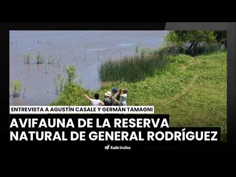 Avifauna de la Reserva Natural de General Rodríguez | Entrevista a Agustín Casale y Germán Tamagni