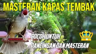 Download lagu Masteran Kapas Tembak Gacor Pilihan Juri Durasi Panjang #kapastembak mp3 Download lagu Masteran Kapas Tembak Gacor Pilihan Juri Durasi Panjang #kapastembak mp3