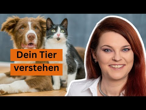 Sprich mit deinem Tier (bewährte Methode)