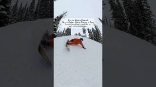 Snowboard length: Why trying a longer snowboard may be worth it #snowboarding