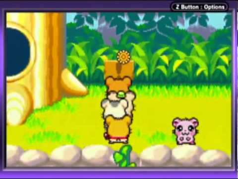 hamtaro rainbow rescue gba rom