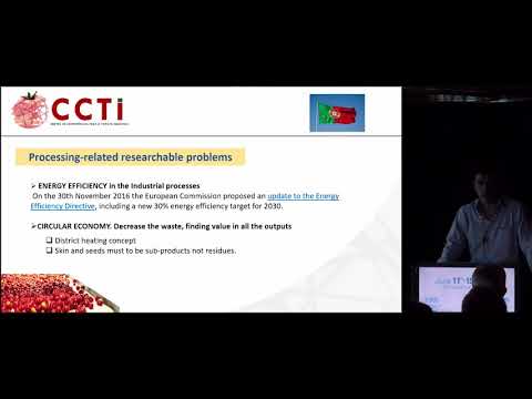 Joao Silva - Processing-related researchable problems