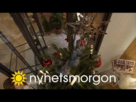 Tjugondag Knut – Här tar julen slut i Nyhetsmorgon - Nyhetsmorgon (TV4)