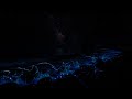(No Ads) Deep Sleep Music 🌊 Glow Ocean Night • Insomnia Relief • Calm Your Mind
