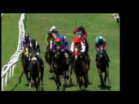 BTC: 2018 Sandy Lane Gold Cup - Race 3