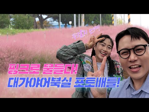 핑크로 물든 여기는! 핑크뮬리 명소 대가야어북실 l 고령군 ㅣ 핑크뮬리 ㅣ 대가야어북실