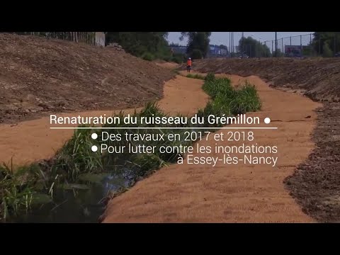 Renaturation du ruisseau du Gremillon - Essey-lès-Nancy