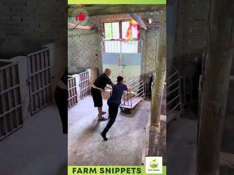 Crazy Wild Boar vs Brave Farmers 🐗⚡