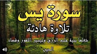 سورة ياسين يس  لفتح أبواب الرزق  باذن الله    تلاوة هادئة 💚   القارئ عادل حسن الحجواني
