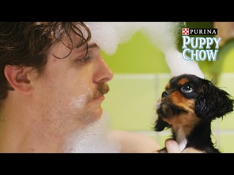 download lagu mp3 mp4 Chloe Dog, download lagu Chloe Dog gratis, unduh video klip Chloe Dog