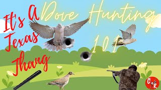 Dove Hunting 101 - near Austin TX