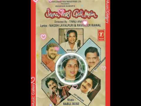 Tere Hum Aye Sanam (Jeena Teri Gali Mein 1991) Sanu Da & Anuradha Ji (BABUL BOSE) Remastered 320kbps