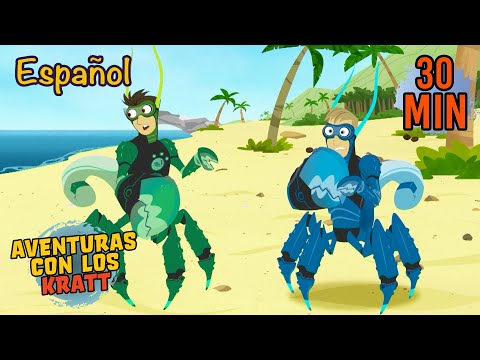 Cangrejos de Vacaciones | Animales de la Playa | Aventuras con los Kratt | 9 Story Kids en Español